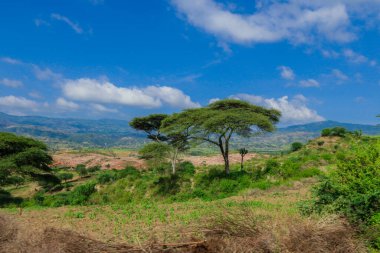 Omo Nehri Vadisi, Etiyopya 'nın Bulutlu Mavi Gökyüzünün Altındaki Yeşil Ağaçlar ve Dağlara Panoramik Görünüm