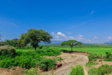 Omo Nehri Vadisi, Etiyopya 'nın Bulutlu Mavi Gökyüzünün Altındaki Yeşil Ağaçlar ve Dağlara Panoramik Görünüm