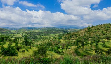 Omo Nehri Vadisi, Etiyopya 'nın Bulutlu Mavi Gökyüzünün Altındaki Yeşil Ağaçlar ve Dağlara Panoramik Görünüm