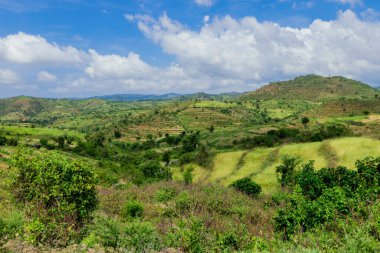 Omo Nehri Vadisi, Etiyopya 'nın Bulutlu Mavi Gökyüzünün Altındaki Yeşil Ağaçlar ve Dağlara Panoramik Görünüm