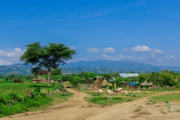 Vue Imprenable Sur Les Maisons Traditionnelles Africaines Les Arbres Verts — Photo