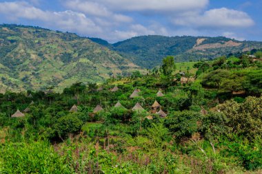 Afrika Omo Nehri Vadisi, Etiyopya 'daki Yeşil Çimen ve Ağaçlar arasında Kabile Ahşap Konutlarına Panoramik Görünüm