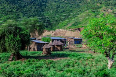 Afrika Omo Nehri Vadisi, Etiyopya 'daki Yeşil Çimen ve Ağaçlar arasında Kabile Ahşap Konutlarına Panoramik Görünüm