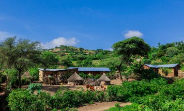 Afrika Omo Nehri Vadisi, Etiyopya 'daki Yeşil Çimen ve Ağaçlar arasında Kabile Ahşap Konutlarına Panoramik Görünüm