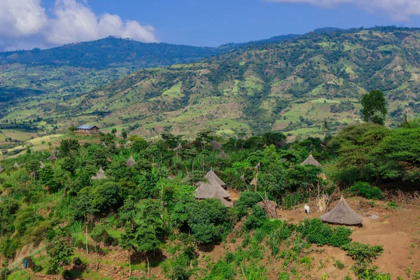 Afrika Omo Nehri Vadisi, Etiyopya 'daki Yeşil Çimen ve Ağaçlar arasında Kabile Ahşap Konutlarına Panoramik Görünüm