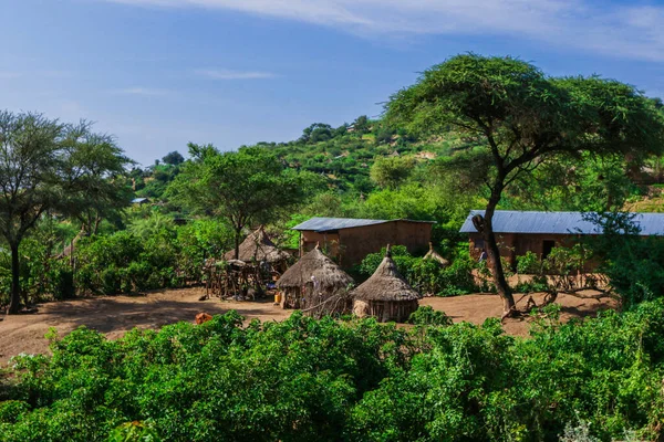 Afrika Omo Nehri Vadisi, Etiyopya 'daki Yeşil Çimen ve Ağaçlar arasında Kabile Ahşap Konutlarına Panoramik Görünüm