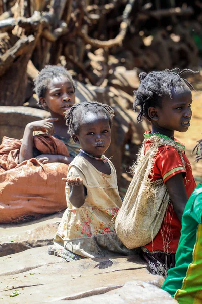 Konso, Etiyopya - 30 Kasım 2020: Geleneksel Konso Kabile Köyünde Genç ve Tatlı Afrikalı Çocuklar