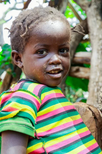 エチオピアのコンソ 2020年11月30日 伝統的なコンソ部族の村の若いかわいいアフリカの子供たち — ストック写真