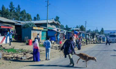 Gondar, Etiyopya - 01 Aralık 2020: Etiyopya 'nın kuzeyindeki Afrika kasabasının günlük yaşamı