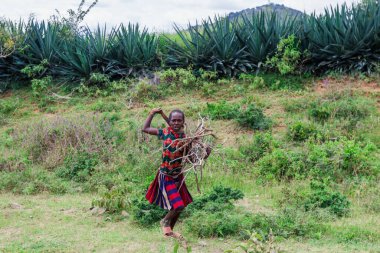 Omo Nehri Vadisi, Etiyopya - 20 Kasım 2020: Yeşil Kırsal Yoldaki Saldırgan Çekiç Kabilesi Halkı