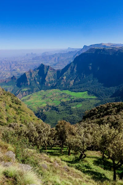 Panoramic View Simien Mountains Green Valley Blue Sky Gondar Northern — Photo