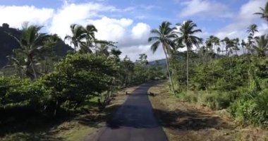 4K Aerial Footage of the Wild coast of Dominica Island and the road with passing cars, Caribbean Sea
