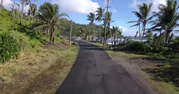 Aerial Footage Wild Coast Dominica Island Road Passing Cars Caribbean — Stock video