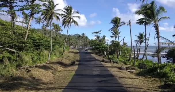 Aerial Footage Wild Coast Dominica Island Road Passing Cars Caribbean — Stockvideo