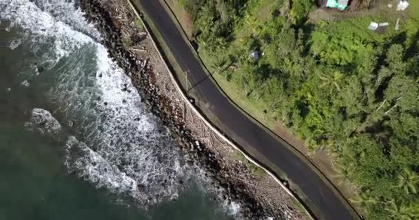ドミニカ島の野生の海岸と通過車 カリブ海の道路の4K空撮 — ストック動画