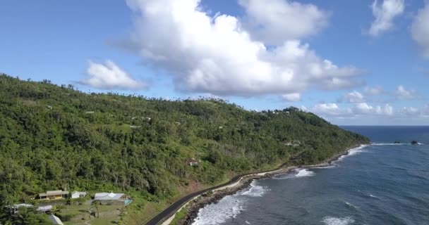 Aerial Footage Wild Coast Dominica Island Road Passing Cars Caribbean — стокове відео