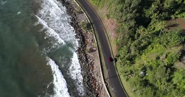 Aerial Footage Wild Coast Dominica Island Road Passing Cars Caribbean — стоковое видео