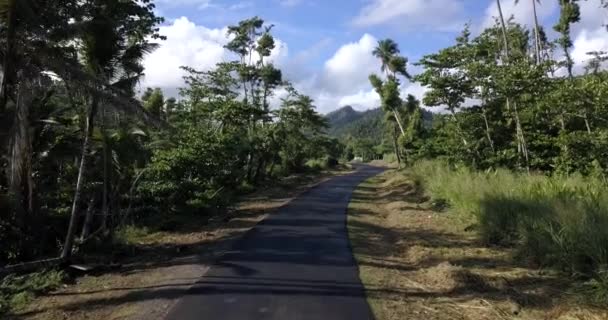 Aerial Footage Wild Coast Dominica Island Road Passing Cars Caribbean — 图库视频影像