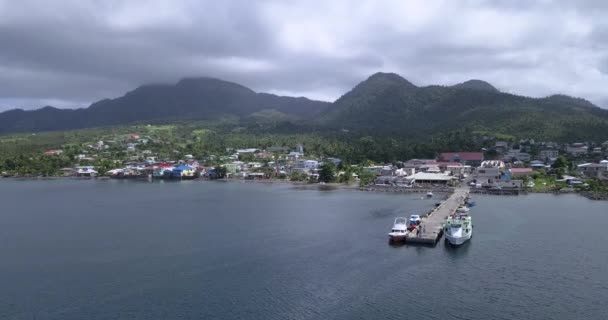 Imágenes Aéreas Vista Costa Verde Natural Portsmouth Muelle Isla Dominica — Vídeo de stock