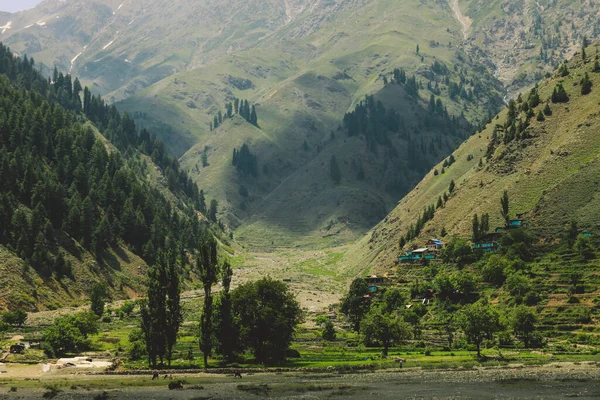 Traditional Houses Green Forest Rocks Pakistani Mountains Gilgit Baltistan Pakistan — Stock Photo, Image