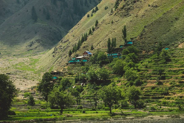 Pakistan Dağlarındaki Yeşil Orman Kayalıklarında Geleneksel Evler Gilgit Baltistan Pakistan — Stok fotoğraf