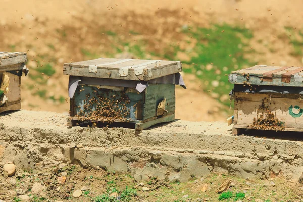 Wooden Bee Houses Gilgit Baltistan Highlands Spectacular Mountain View Pakistan — стокове фото