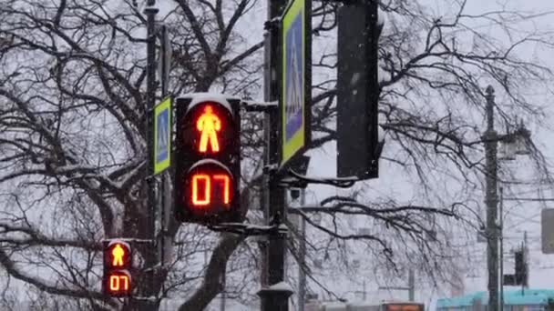 Filmación Semáforo Rojo Para Peatones Centro San Petersburgo Invierno — Vídeos de Stock