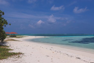Cennet Maafushi Adası, Maldivler 'de Palmiye Ağaçları ve Mavi Okyanus Suyu ile Boş Beyaz Kumsal