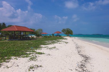 Cennet Maafushi Adası, Maldivler 'de Palmiye Ağaçları ve Mavi Okyanus Suyu ile Boş Beyaz Kumsal