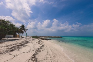 Cennet Maafushi Adası, Maldivler 'de Palmiye Ağaçları ve Mavi Okyanus Suyu ile Boş Beyaz Kumsal