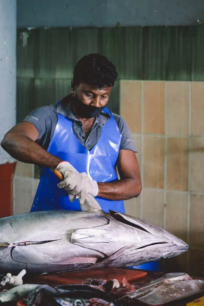 Άνδρας Μαλδίβες Ιουνίου 2021 Τοπικός Μαλδίβιος Ψαράς Σφάζει Ένα Μεγάλο — Φωτογραφία Αρχείου