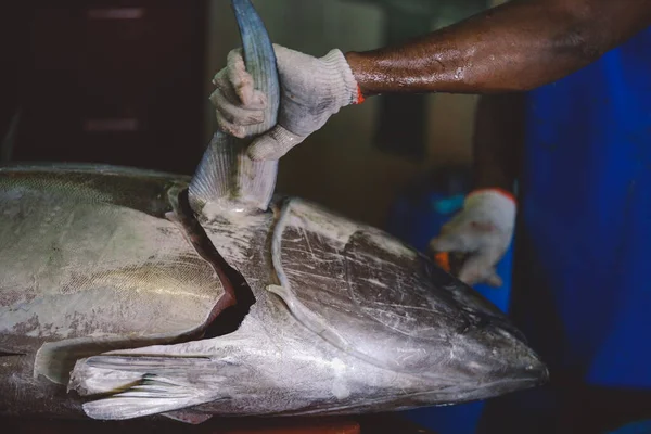 몰디브의 2021 말디비아 도시의 시장에 물고기를 도축함 — 스톡 사진