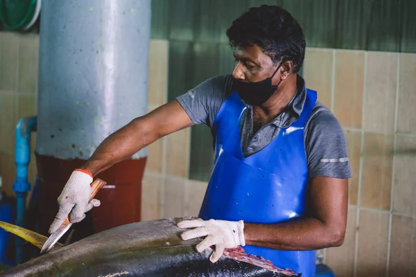 Mand Maldiverne Juni 2021 Lokal Maldivian Fisherman Slagter Stor Tunfisk - Stock-foto