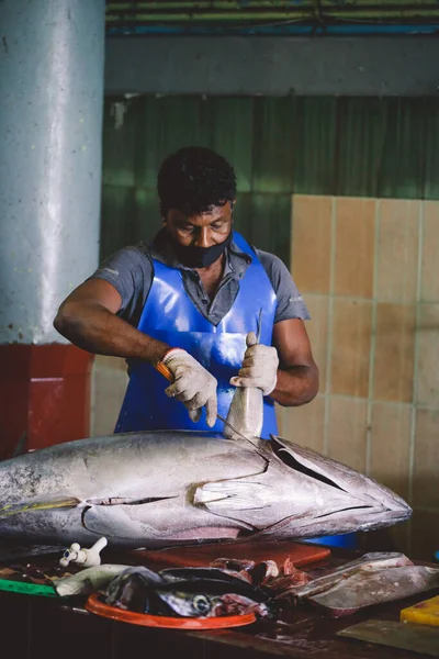 Mand Maldiverne Juni 2021 Lokal Maldivian Fisherman Slagter Stor Tunfisk - Stock-foto