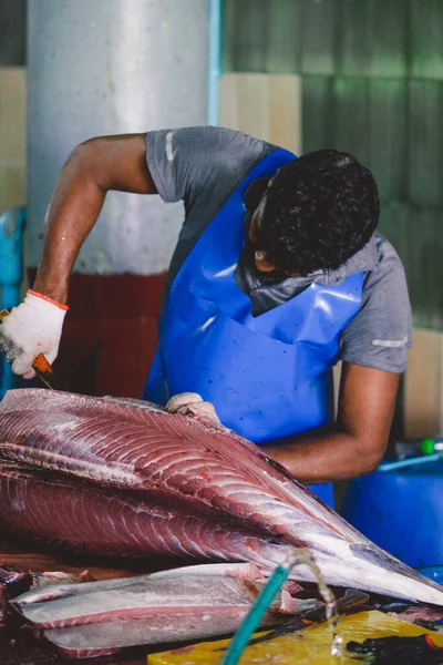 Man Maldiverna Juni 2021 Lokal Maldivisk Fiskare Slaktare Stor Tonfisk — Stockfoto