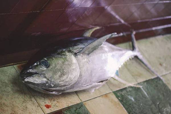 Hele Verse Vis Van Tonijn Rode Snapper Fish Central Market — Stockfoto
