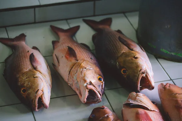 モルディブ 男性市の魚市場におけるマグロと赤スナッパーの新鮮な魚の全体 — ストック写真