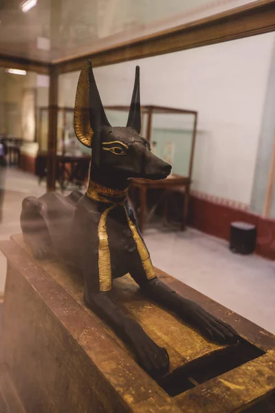 Sentado Estatua Oro Negro Del Antiguo Dios Egipcio Muerte Anubis — Foto de Stock