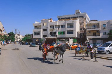 Giza, Mısır - 02 Kasım 2021: Giza sokaklarında yerel Mısırlılar sabahın erken saatlerinde