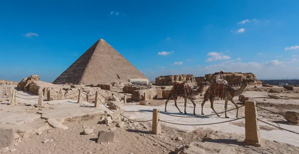 Amazing View One Wonders Ancient World Nagy Gízai Piramisok Tevékkel — Stock Fotó