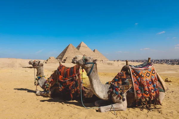 Vue Imprenable Sur Une Des Merveilles Monde Antique Grandes Pyramides — Photo