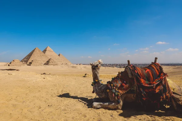 Vue Imprenable Sur Une Des Merveilles Monde Antique Grandes Pyramides — Photo