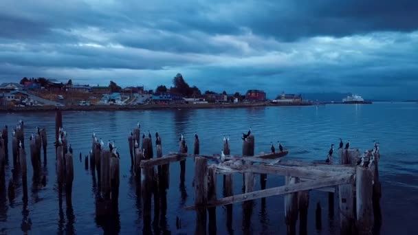 Vista Aérea Noche Puerto Natales Chile Filmación — Vídeos de Stock