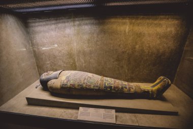 Saqqara, Mısır - 02 Kasım 2021: Aşağı Mısır 'daki Saqara mezarlığı yakınlarında yer alan Imhotep Müzesinde Antik Mısır sergileri