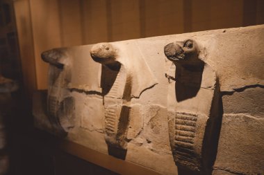 Saqqara, Mısır - 02 Kasım 2021: Aşağı Mısır 'daki Saqara mezarlığı yakınlarında yer alan Imhotep Müzesinde Antik Mısır sergileri