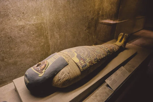 Saqqara, Mısır - 02 Kasım 2021: Aşağı Mısır 'daki Saqara mezarlığı yakınlarında yer alan Imhotep Müzesinde Antik Mısır sergileri