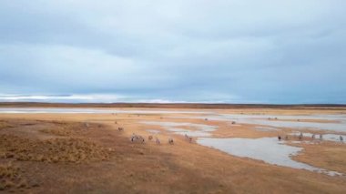 Tierra del Fuego 'nun Şili' deki hava manzarası