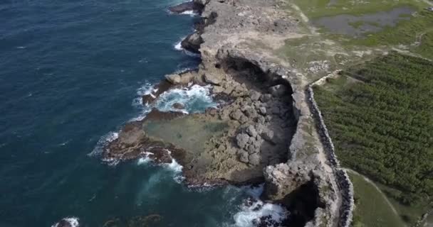 Luftaufnahmen Der Naturlandschaften Von Barbados — Stockvideo