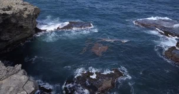 Luftaufnahmen Der Naturlandschaften Von Barbados — Stockvideo
