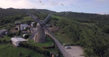 Morgan Lewis Şeker Fabrikasının havadan görünüşü, Barbados 'un doğası